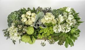 We did not find results for: Flower Pot Florist Florist Ringwood And Eastland Delivery