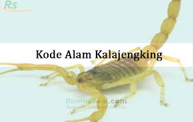 Hp officejet 2620 installieren : Kode Alam 18