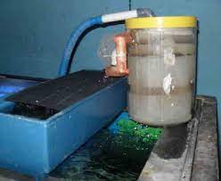 Telah dijelaskan berbagai serangan penyakit ikan koi pada artikel terdahulu yang dapat berakibat fatal yaitu hilangnya keindahan warna ikan koi karena memudar, ikan koi menjadi cacat, sampai tahap parah yaitu kematian ikan koi. Cara Membuat Sirkulasi Kolam Ikan Alami Filter Air