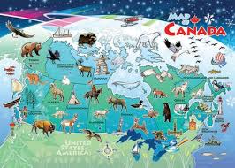 Our difficult jigsaw puzzles in the 1000 piece size range form unique shaped puzzles to complicated themed jig saw puzzles. Canada Map Tray Puzzle Education Station Teaching Supplies And Educational Products