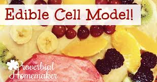 Maybe you would like to learn more about one of these? Edible Cell Model Our Cell Science Unit Proverbial Homemaker