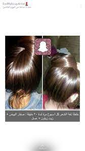 pinterest haf tima beauty recipes hair hair care oils hair care recipes
