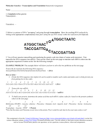 Where to download dna rna and genetic engineer answer key. Transcription Translation Homework Activity