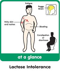 Lactose Intolerance Archives Gutdoctor Com