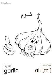 ثوم garlic ail رسومات خضروات خضار للتلوين جاهزة للطباعة مع الاسماء in 2021 color garlic art