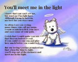 Memories Of Montana You Ll Meet Me In The Light Pet Loss Dog Quotes Rainbow Bridge