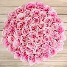 A lighter shade of pink can mean sympathy, sweetness and gentleness. Understanding What Pink Rose Meaning Signifies And Symbolism All Rose Color Meanings