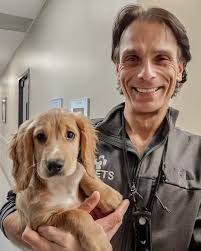 A paws-itively heartwarming moment at #CVETS! One of our amazing employees  recently brought her pregnant pup, Neala, in for a C-section, performed by  none other than our talented surgeon, Dr. Collin Wolff.
