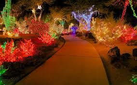 One which you should definitely visit. This Nevada Garden Celebrates The Holidays By Wrapping Cacti In Christmas Lights Travel Leisure