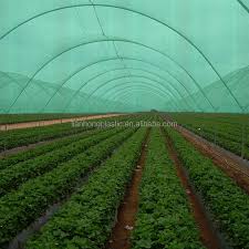 They'll keep your ground protected and you get delicious fruit! Color Sun Shade Net Used For Flowers Fruit Trees In Greenhouse Covering Agricultural Outdoors Protect Plants Buy Color Shade Net Sun Shade Net Agricultural Shade Net Product On Alibaba Com