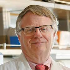 Teaching, Healing, Discovering