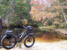 Trails of wharton state forest wharton state forest has 19 official trails totaling over 110 miles. Hunting Fishing Bike Electric Bike Forums Q A Help Reviews And Maintenance