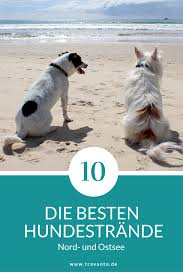Die situation kann mit hotels oder ferienhäusern da sich ein hund nicht dauerhaft im wasser, sondern auch an land aufhält, sollte dort für. Die Besten Hundestrande An Ostsee Und Nordsee Hundestrand Hunde Urlaub Mit Hund