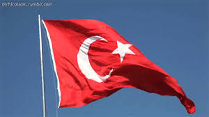 Burada yüzlerce ülke / bölge bayrağı var. Turk Bayraklari Turk Bayragi Turk Devletleri Bayraklari Sayfa 7