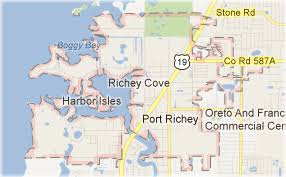 About greener grass pest control & landscape. Pest And Rodent Control Port Ritchey Fl