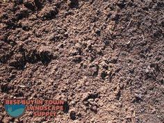 Our top pick for the perfect succulents soil structure is the succulent and. 10 Topsoil Ideas Top Soil Landscaping Supplies Soil