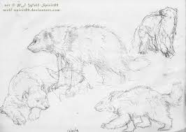 We did not find results for: Wolverine Animal Sketch By Wolf Spirit89 On Deviantart