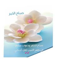 Pin By Eman Zadah On Good Morning Beautiful Morning Morning Images Good Morning
