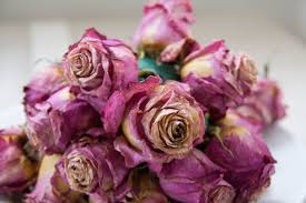 (you can also try dipping them in wax, but. How To Dry Flowers Blog Flamenco Flowers