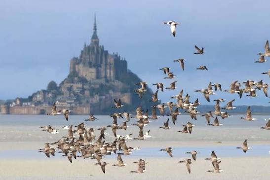 https://encrypted-tbn0.gstatic.com/images?q=tbn:ANd9GcSv4rlT2z2vlEOmRJmy49P8rlcUydHK8pfS4itK-R953A&s=10