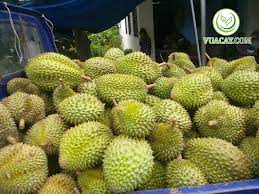 Màu vàng tươi bắt mắt, vị ngọt và béo, hương thơm vừa phải. Sáº§u Rieng Ri6