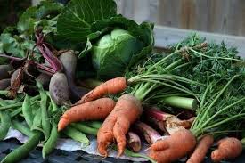 Les Produits De Saison Mars Produits De Saison Idee Legume Jardin De Legumes