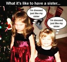 390 best quotes for brother and sister relationship. 30 Totally Funny Sister Memes We Can All Relate To Sayingimages Com