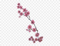 Cherry blossom tattoo designs can be placed just about anywhere on the body, but the typically look best on the back, shoulders, and sides. Cherry Blossom Tattoo Cherry Blossom Tattoo Designs Free Transparent Png Clipart Images Download