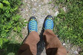 Cholla cactus represent more than 20 species of the opuntia genus (family cactacea) in north american deserts. Ukc Gear Review Approach Shoes