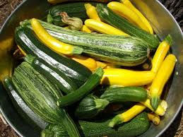 Feb 18, 2021 · heart disease is the leading cause of death in. Why Zucchini Is Bitter And How To Get Rid Of Bitterness At The Growing Stage Why Zucchini Are Bitter