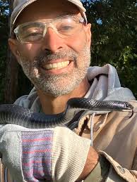 Is this a rat snake or black racer?