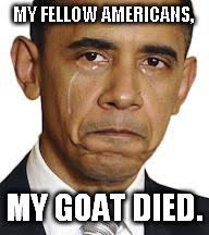 Poor Obummer Imgflip