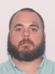 Sex Offenders near Mcrae Elementary School