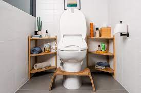 Japanese toilets and washlets are appropriate for the household and individual. The 4 Best Bidets 2021 Bidet Toilet Seats Reviews By Wirecutter