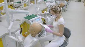 • pitvy • praktika laboratorní • praktika s laboratorními zvířaty • klinické stáže • klinické praxe • předpromoční praxe. Prakticka Vyuka Zubniho Lekarstvi V Prostorach Simu Youtube