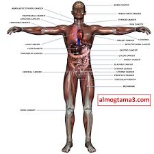 Pin On English Learning