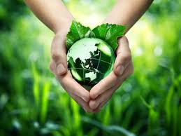 This year, due to the corona virus in the world which has caused a. World Environment Day Time To Preserve Nature Or Perish