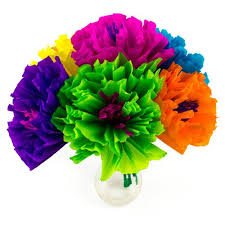 We did not find results for: Mexican Paper Flowers Fiesta Party Supplies