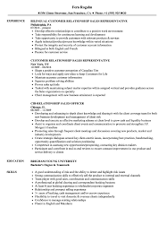 relationship sales resume samples