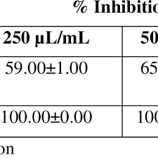 Image result for Dicliptera minor