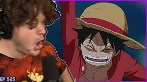 When Does Luffy Learn Haki?