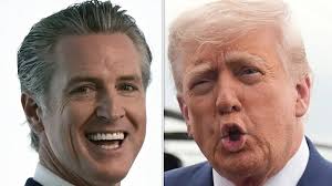 Local option transportation tax revenue