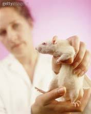 The Animal in Animal Imaging Cost vs. Value Good Review Article Importance  of Monitoring