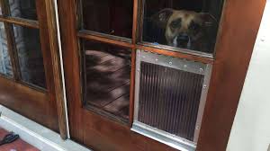 It provides an alternative way of closing the patio door by introducing a pet door into the opening. Diy Dog Door For French Door Window Panes Howchoo