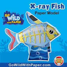 You will need a pdf reader to view these files. X Ray Fish Craft Activity 3d Paper Model By Go Wild With Paper