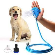 Pin On Pet