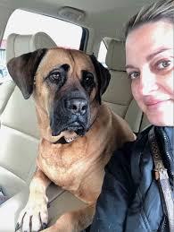 New WHS CEO to be advocate for all animals