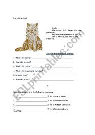 How old is your pet? Lori My Cat Esl Worksheet By Carlos D