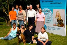 Free shipping on orders $49+, low prices and the best customer service! Par Air Services History Pet Shipping Company