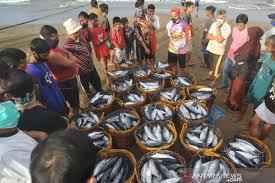 Pada tanggal 30 maret 2018, tepat hari jumat, saya menanyakan perihal hasil penjualan orderan saya dengan nomor 3492239366 a.n. Nelayan Kesulitan Jual Ikan Tengkulak Enggan Beli Sejumlah Jenis Ikan Antara News